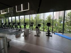 Irwell Hill Residences (D9), Apartment #582842671